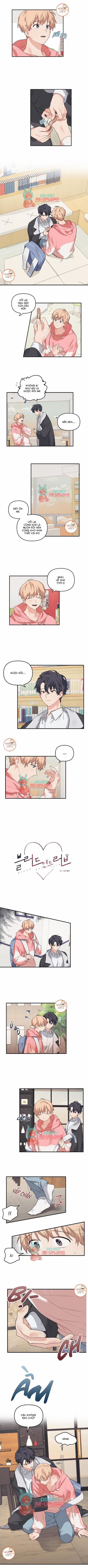 Máu Và Tình Yêu 24 trang 0