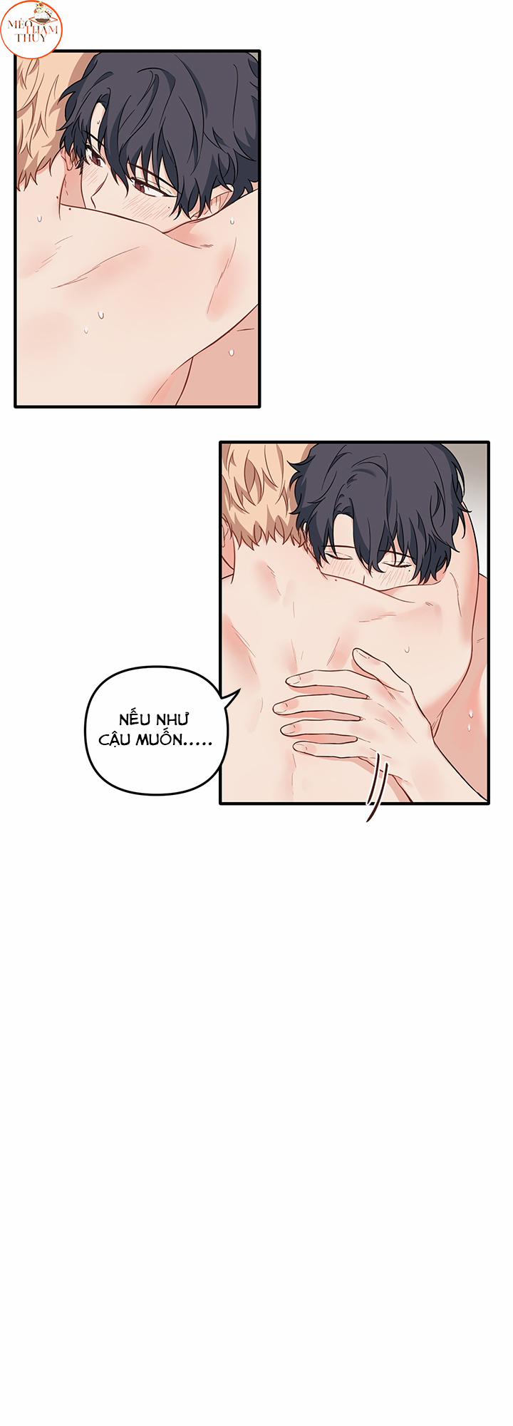 Máu Và Tình Yêu 25 trang 10