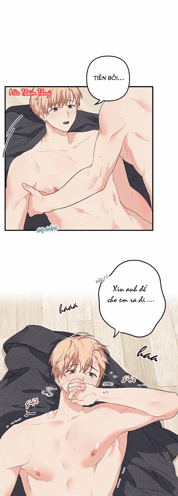 Máu Và Tình Yêu 27 trang 11