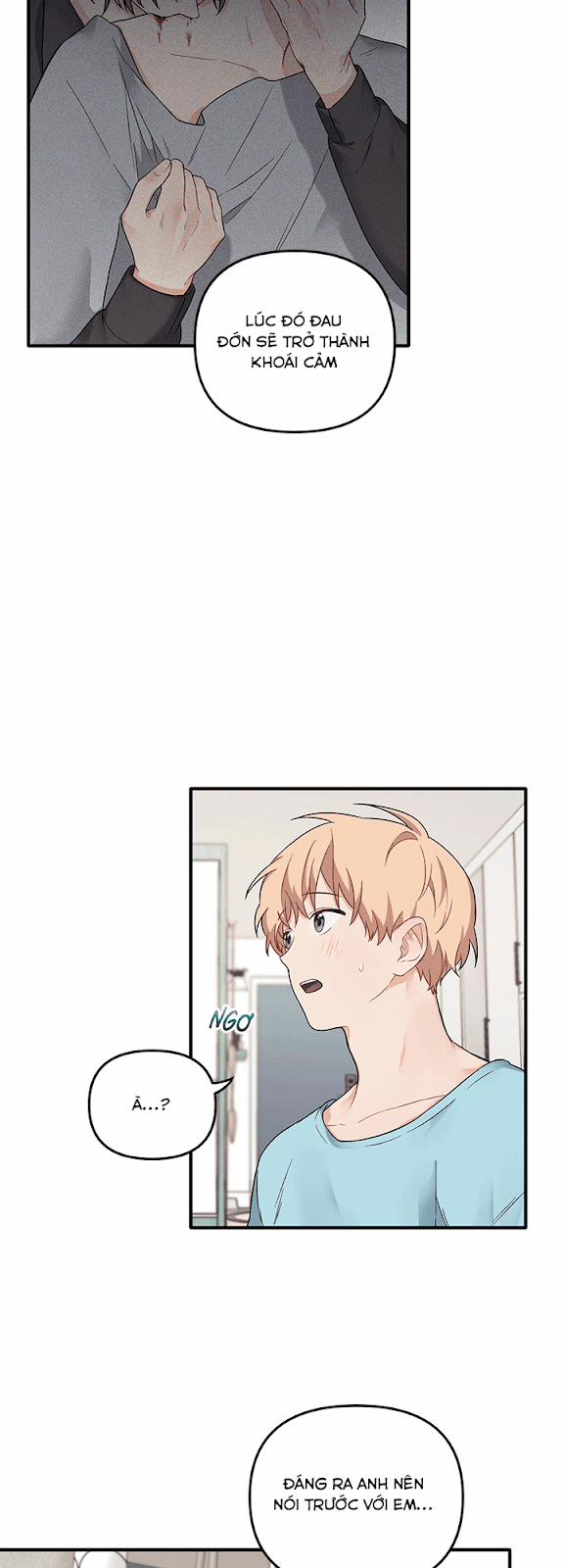 Máu Và Tình Yêu 27 trang 31