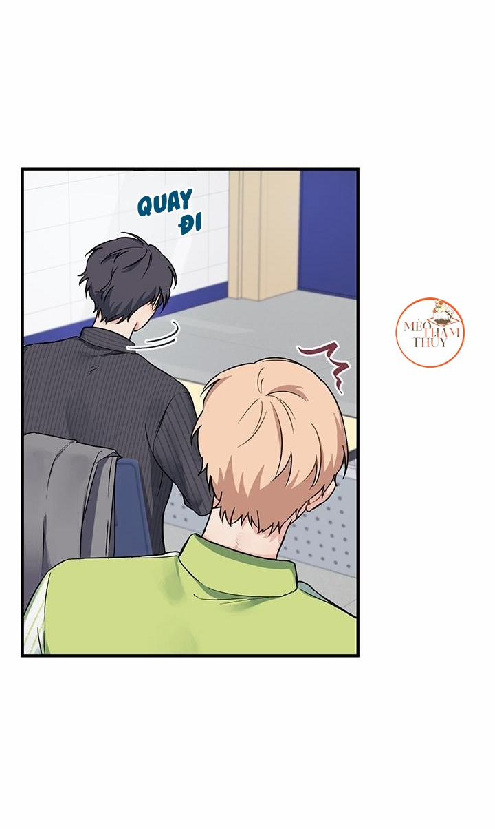 Máu Và Tình Yêu 3 trang 24