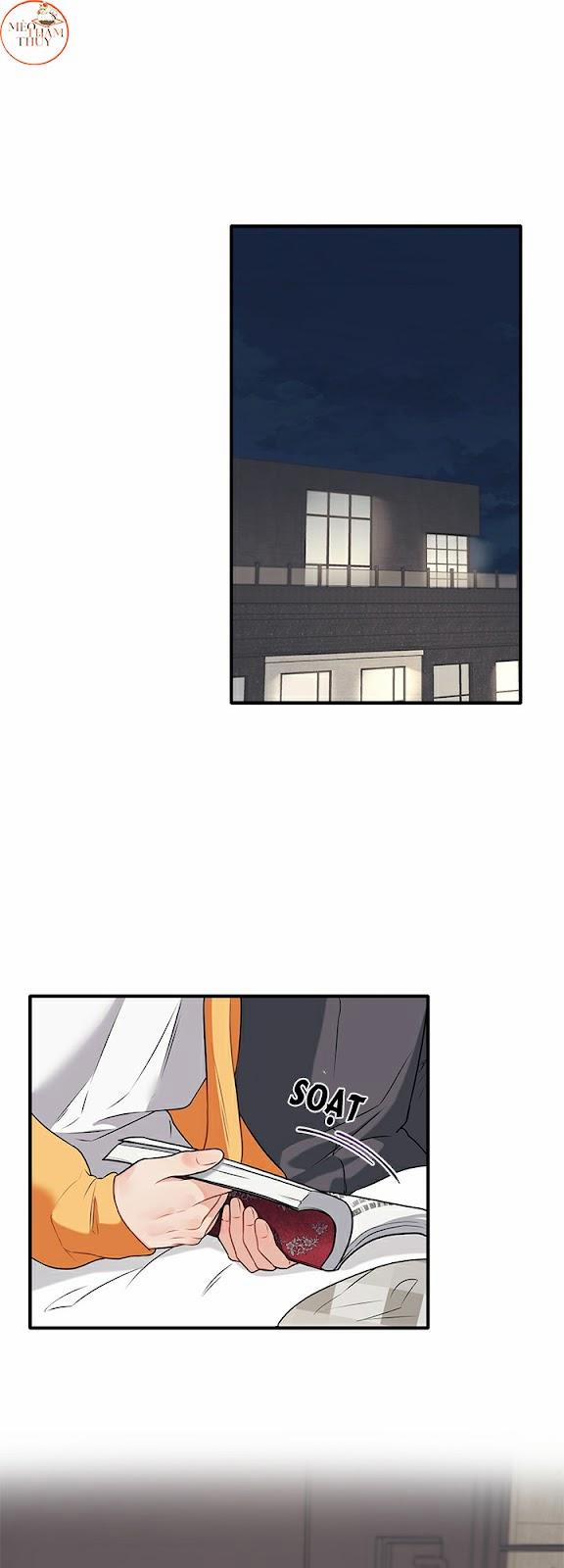 Máu Và Tình Yêu 31 trang 0