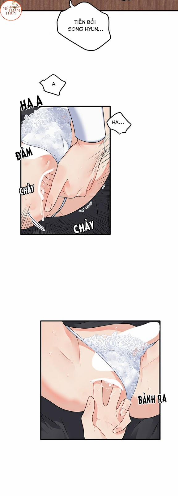 Máu Và Tình Yêu 33 trang 13