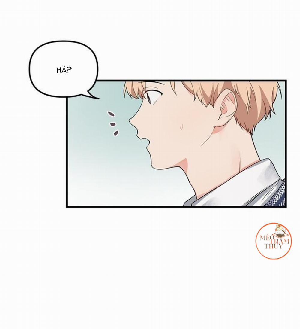 Máu Và Tình Yêu 4 trang 23