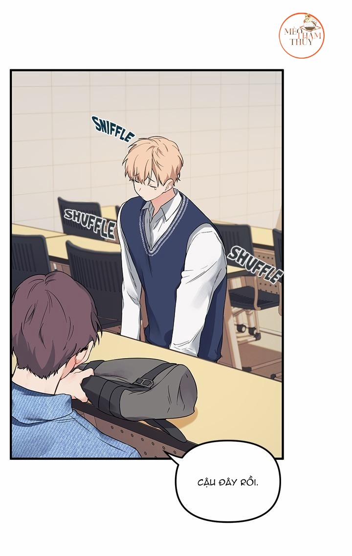 Máu Và Tình Yêu 4 trang 4