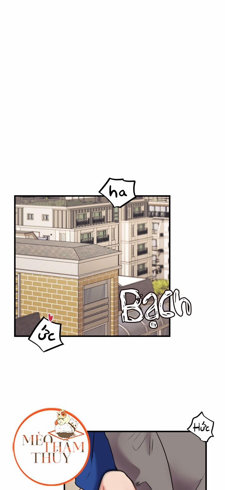 Máu Và Tình Yêu 41 trang 0