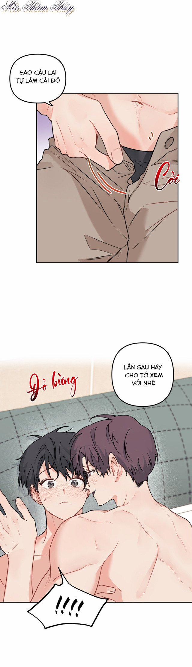 Máu Và Tình Yêu 47 trang 22