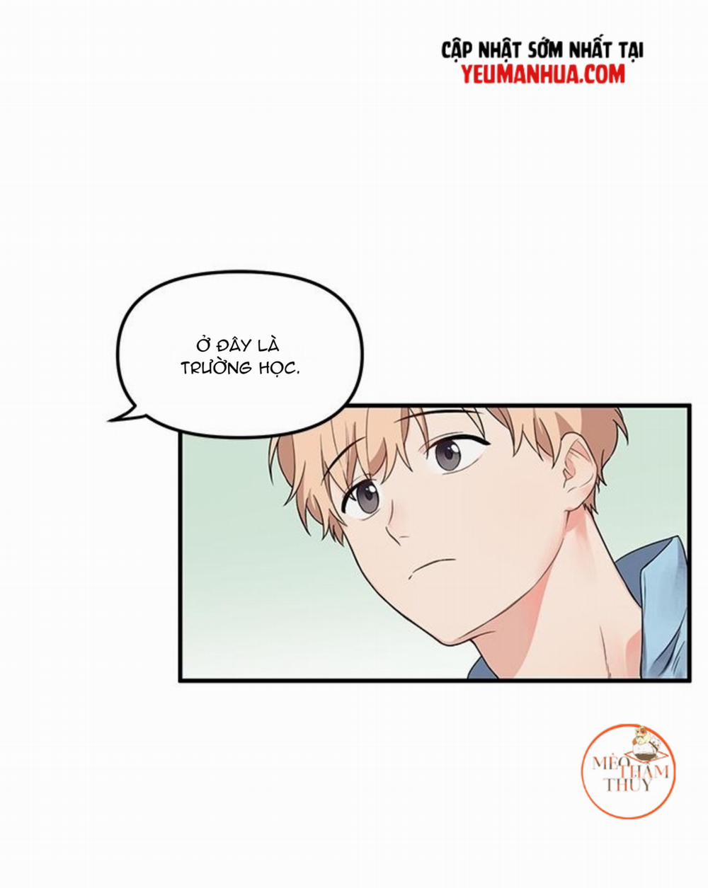 Máu Và Tình Yêu 5 trang 19