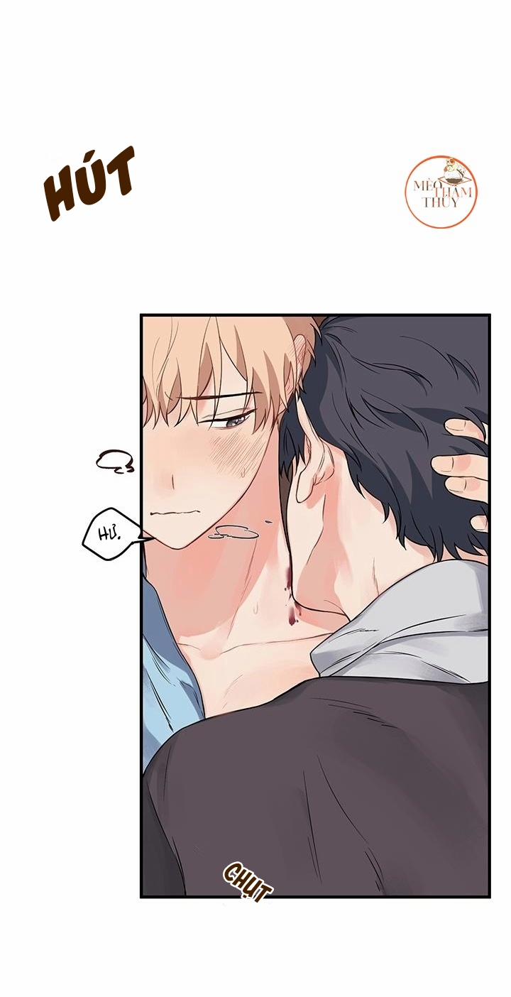 Máu Và Tình Yêu 5 trang 31