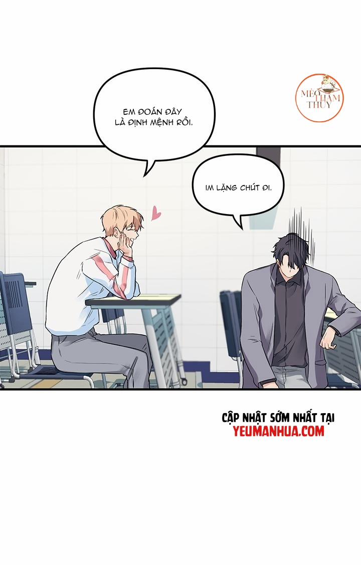 Máu Và Tình Yêu 5 trang 51