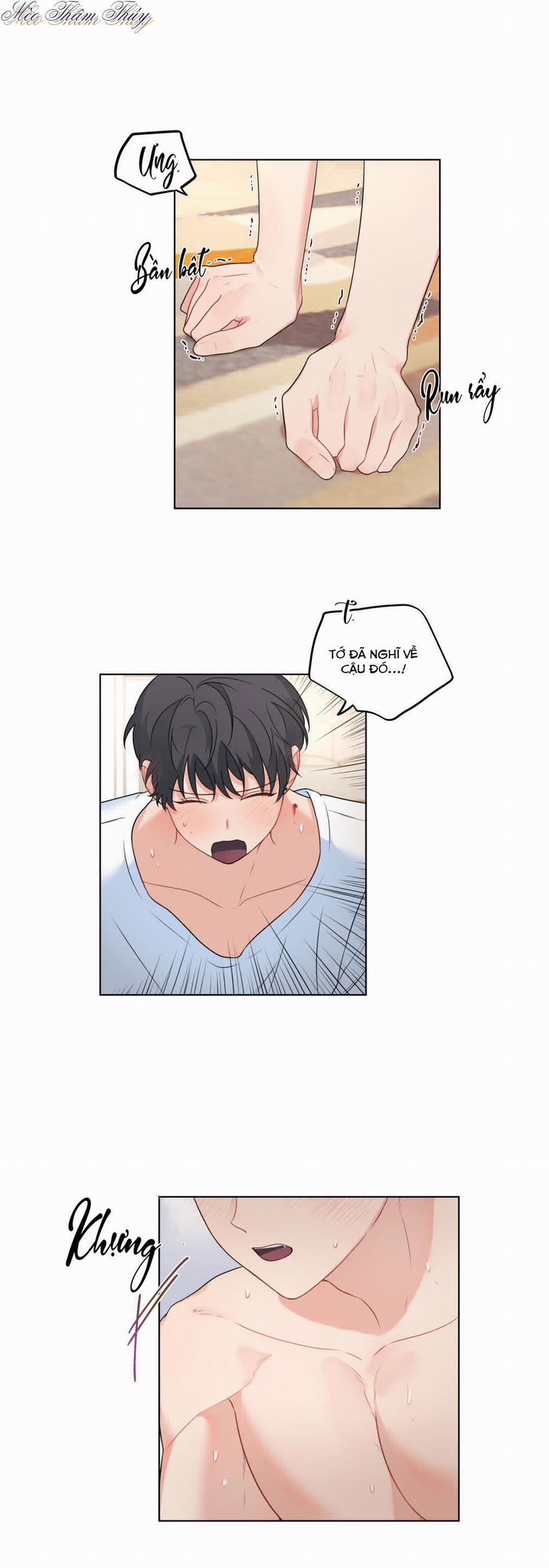 Máu Và Tình Yêu 50 (H+) trang 11