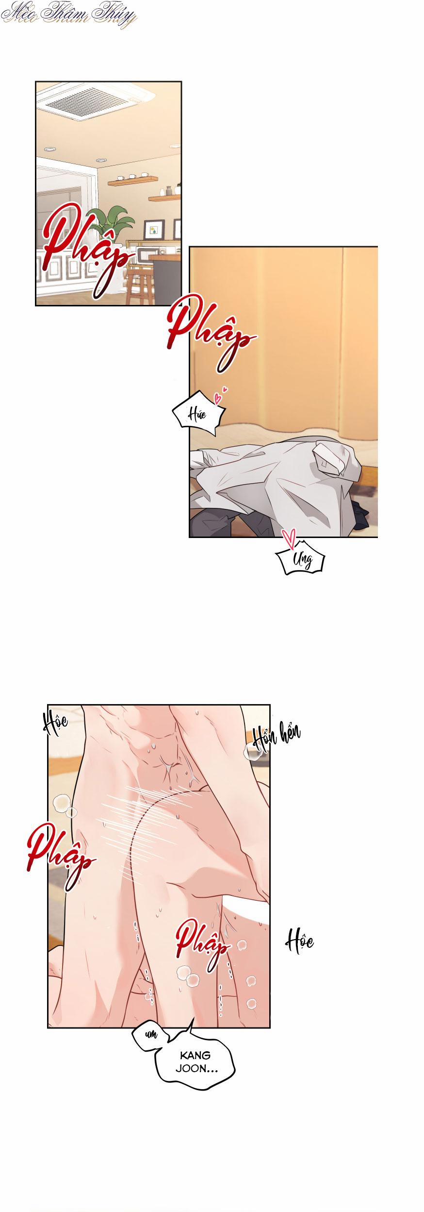 Máu Và Tình Yêu 50 trang 0