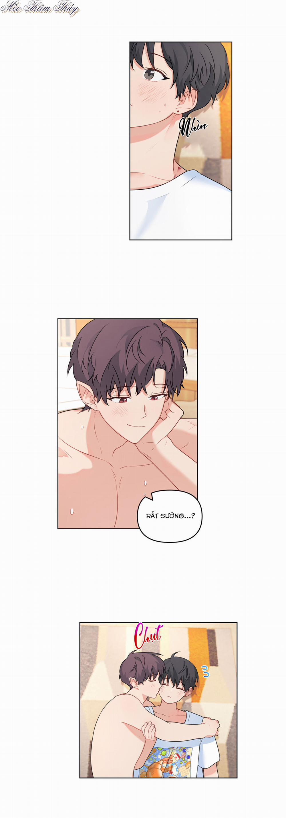 Máu Và Tình Yêu 50 trang 20