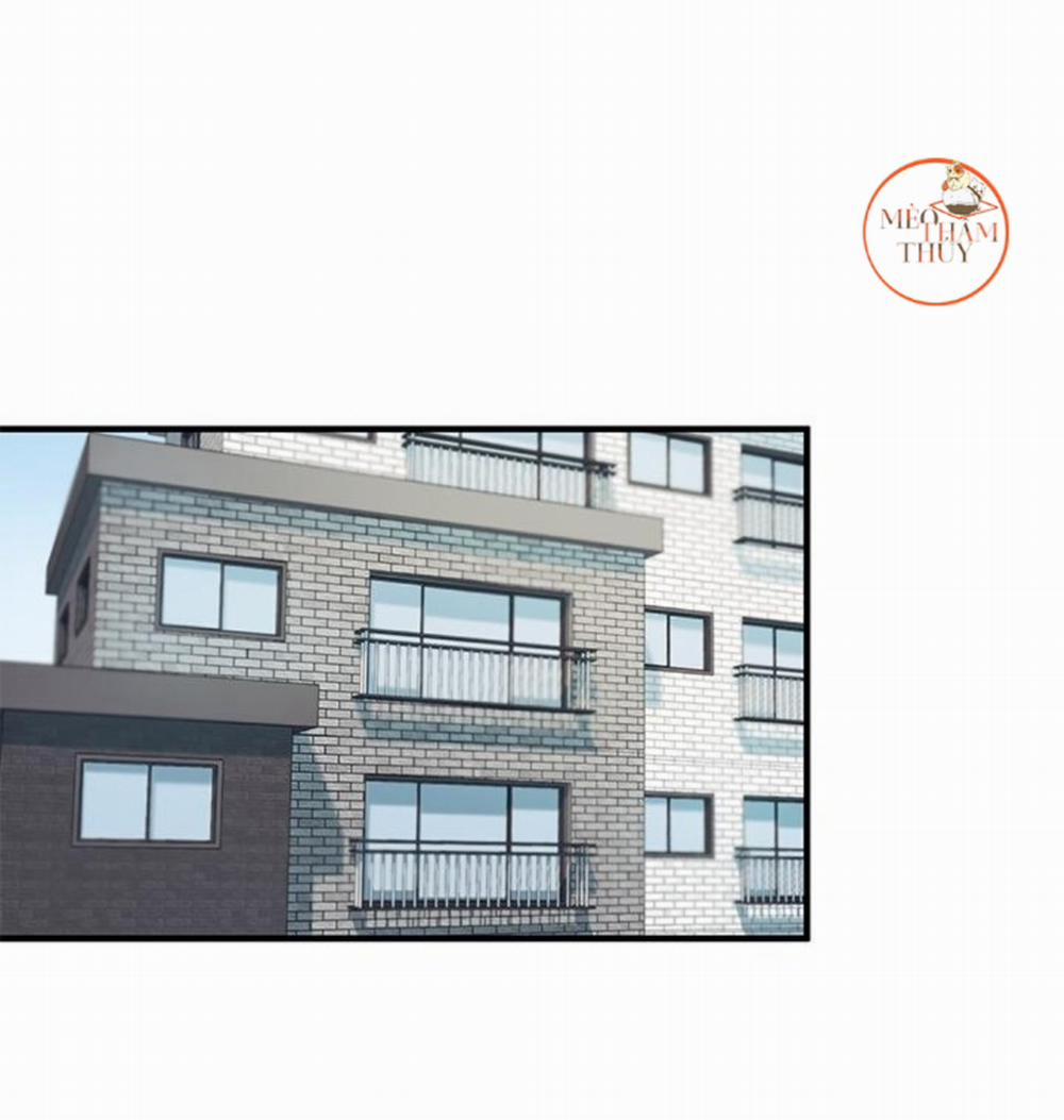 Máu Và Tình Yêu 6 trang 12