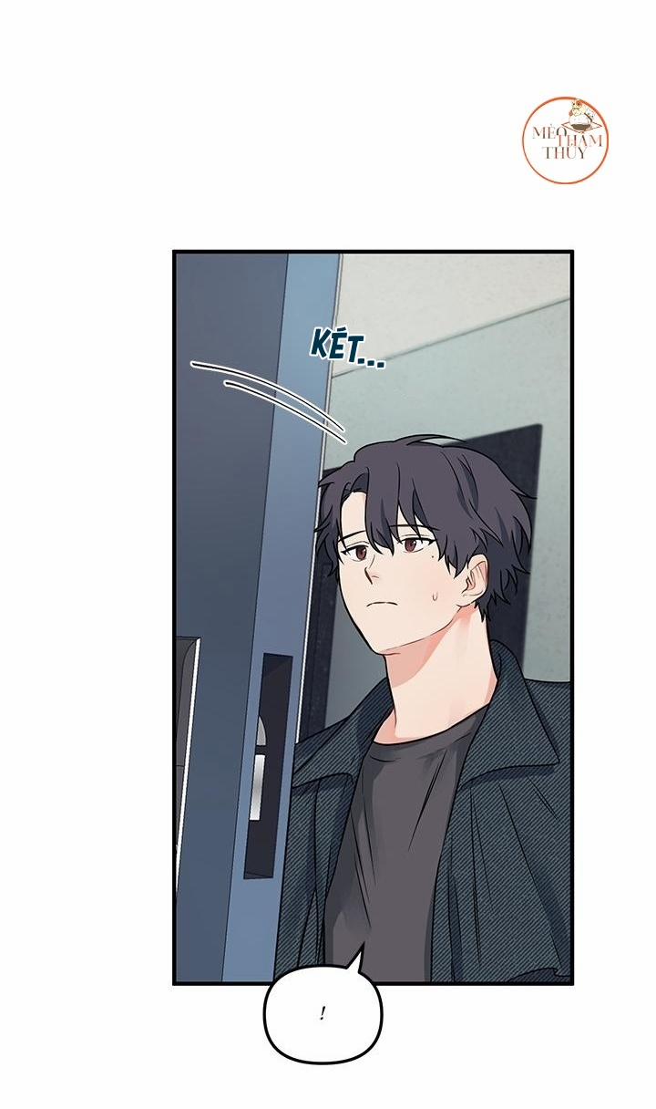 Máu Và Tình Yêu 6 trang 15