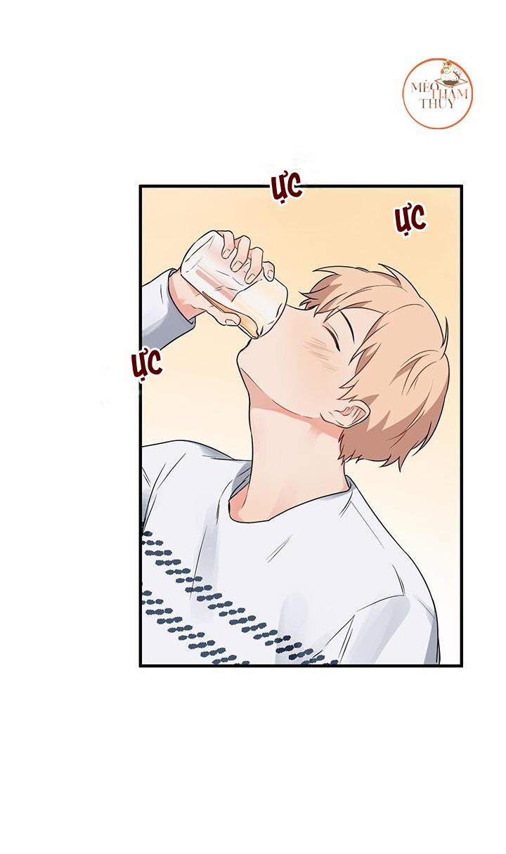 Máu Và Tình Yêu 6 trang 50