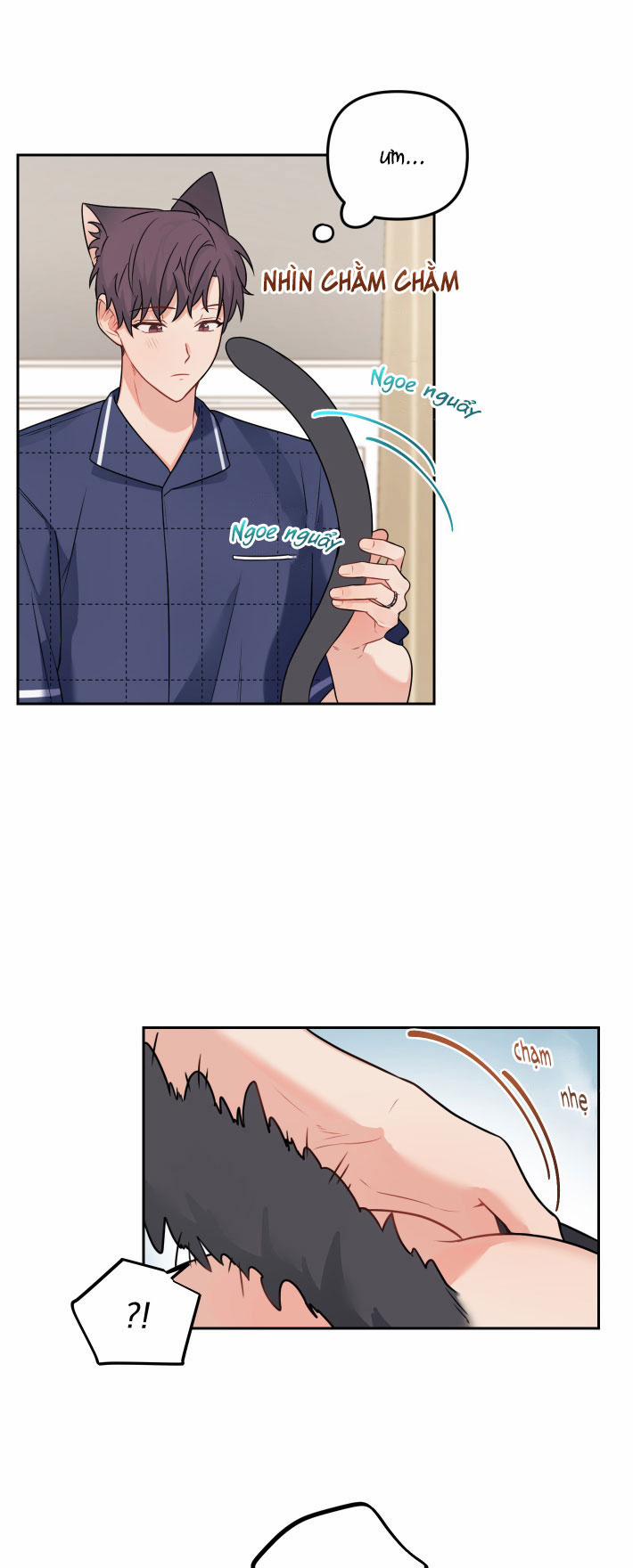 Máu Và Tình Yêu 64 trang 11