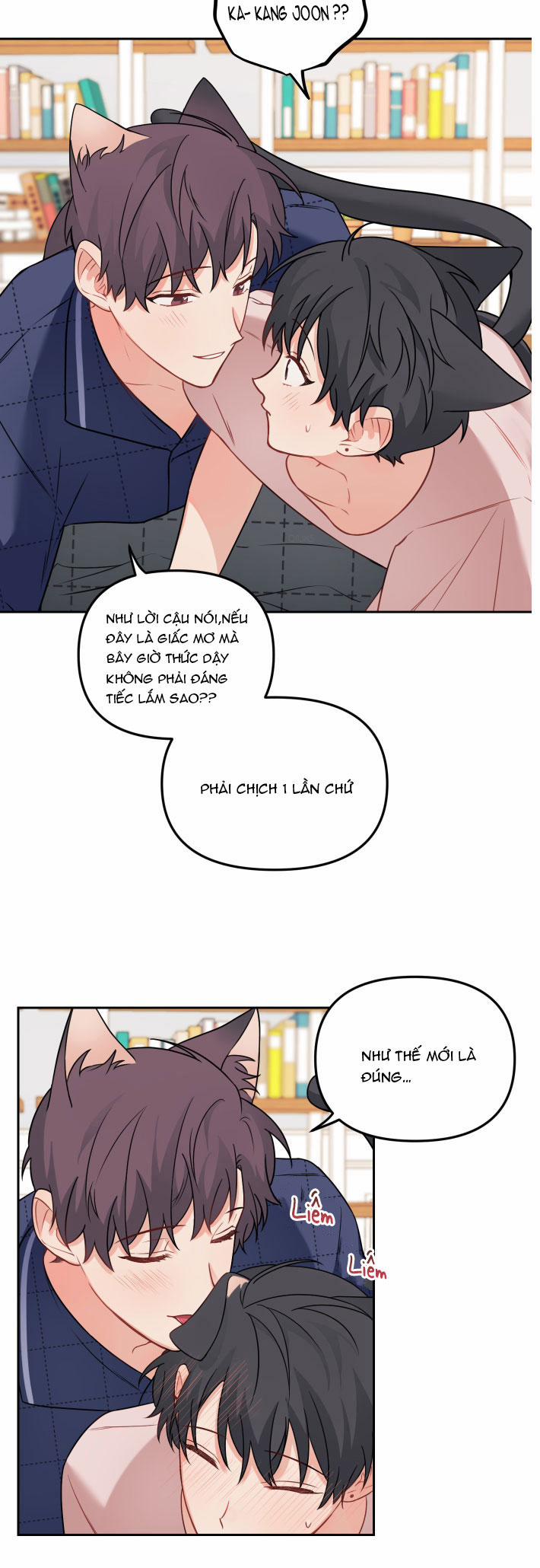 Máu Và Tình Yêu 64 trang 12