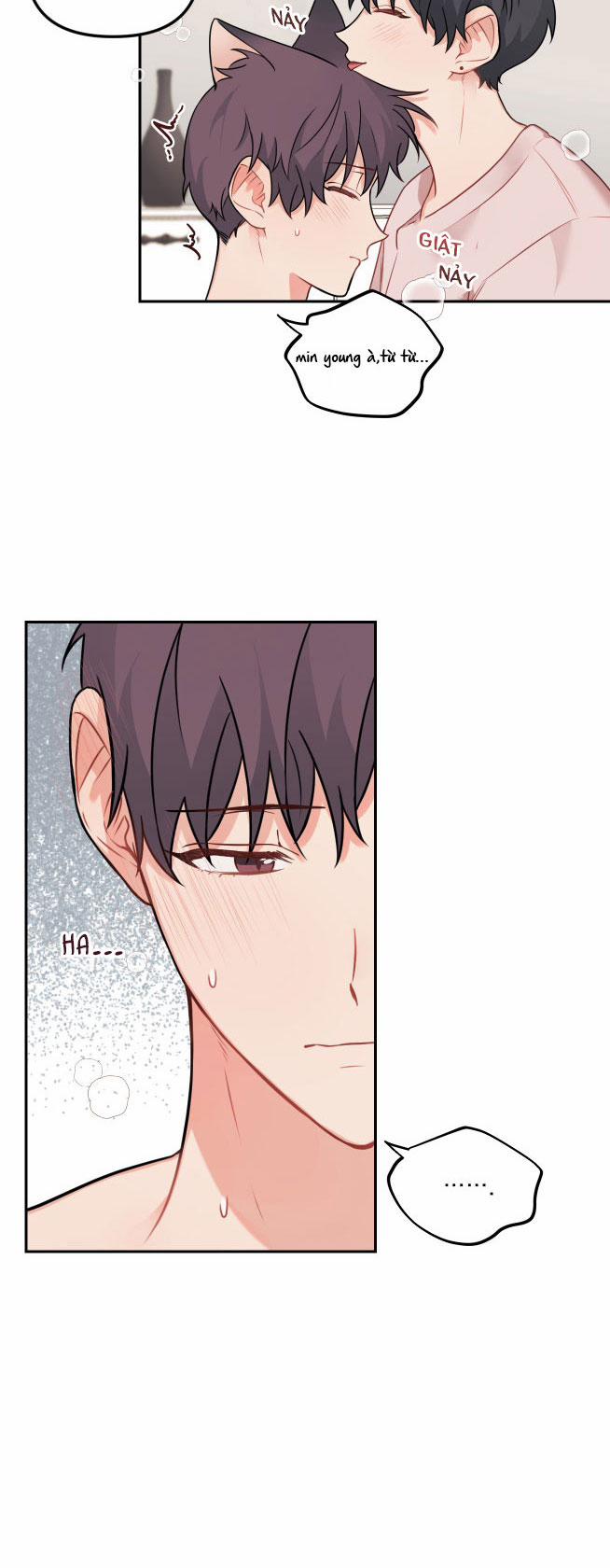 Máu Và Tình Yêu 64 trang 18