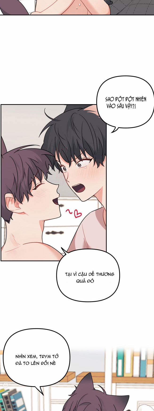 Máu Và Tình Yêu 64 trang 20