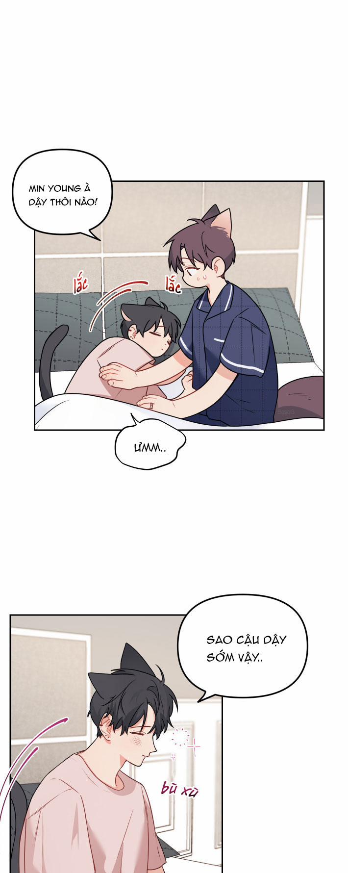 Máu Và Tình Yêu 64 trang 5