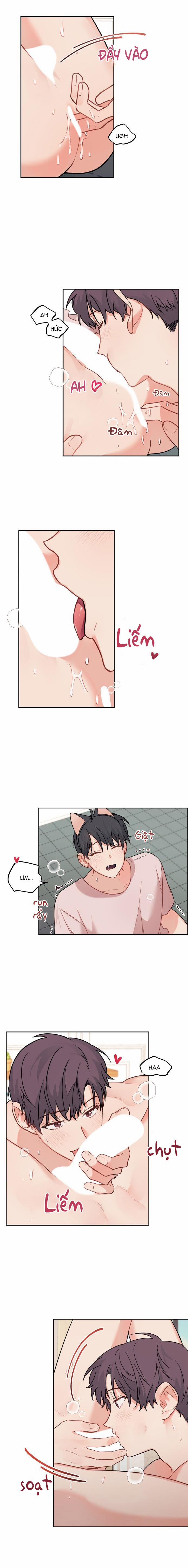 Máu Và Tình Yêu 65 trang 3