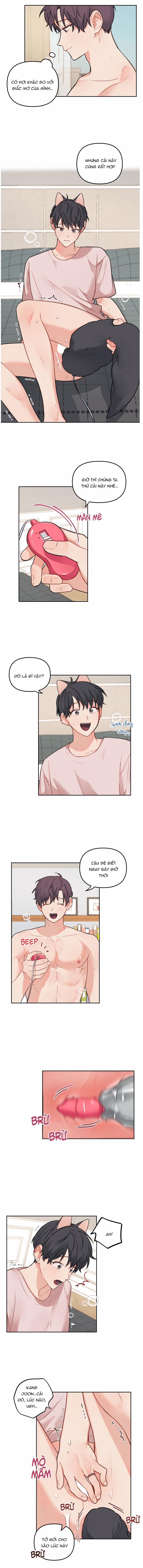 Máu Và Tình Yêu 65 trang 6