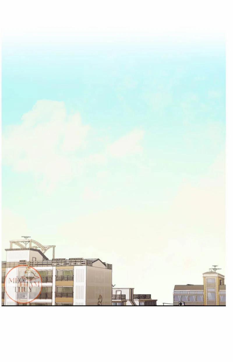 Máu Và Tình Yêu 66 trang 1