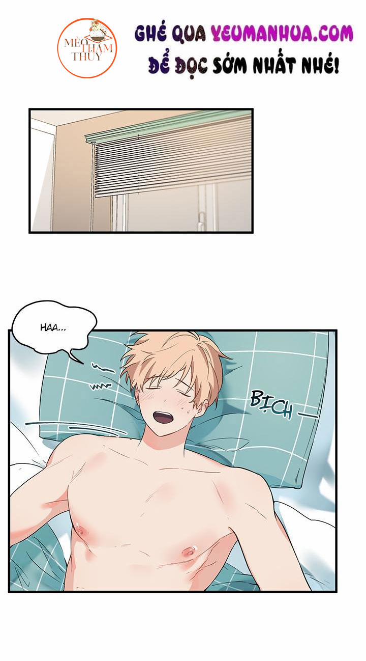 Máu Và Tình Yêu 8 trang 15