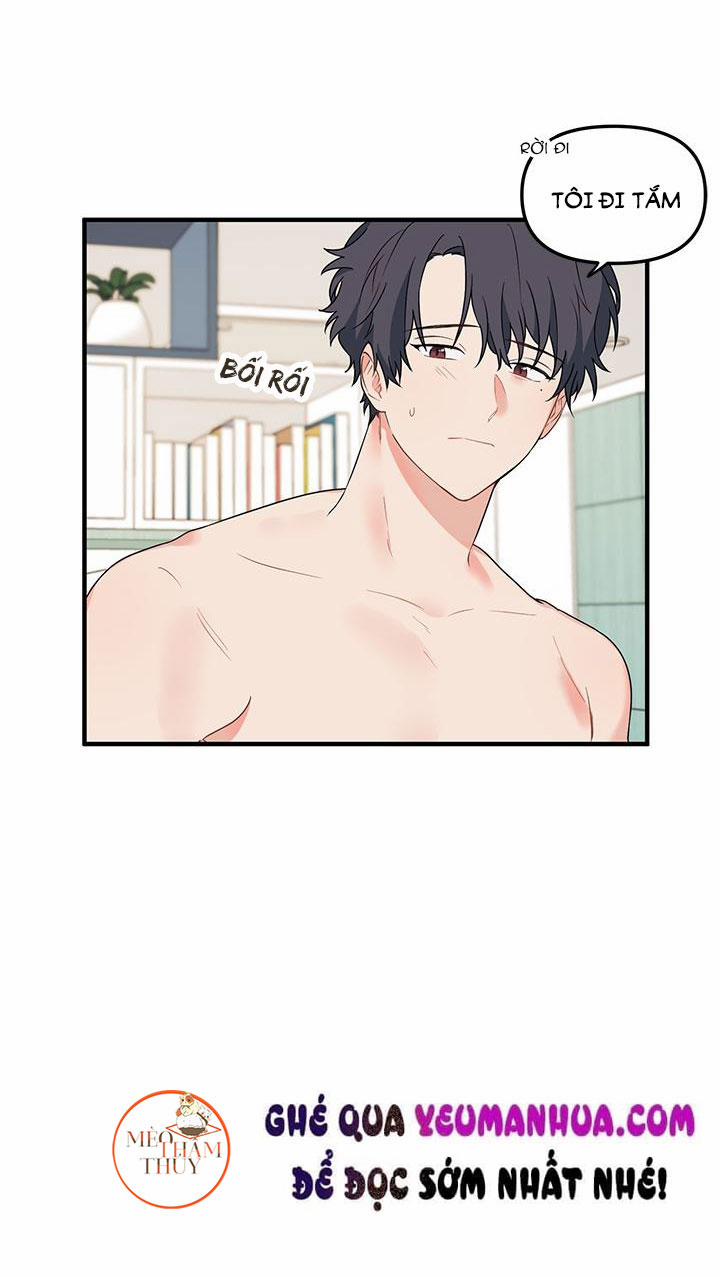 Máu Và Tình Yêu 8 trang 24