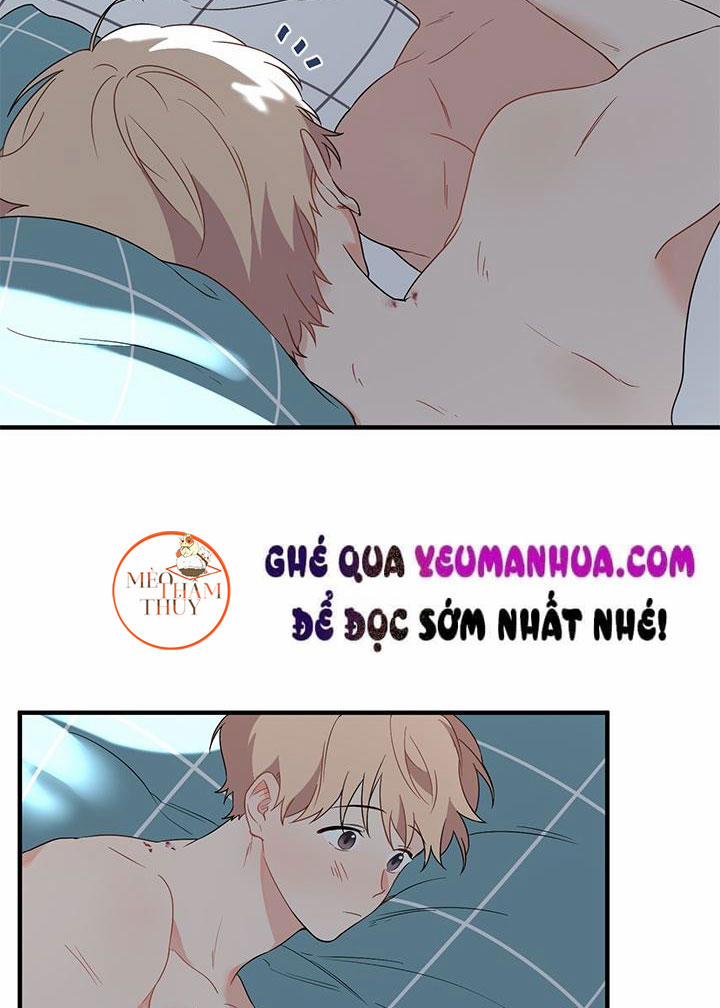 Máu Và Tình Yêu 8 trang 40