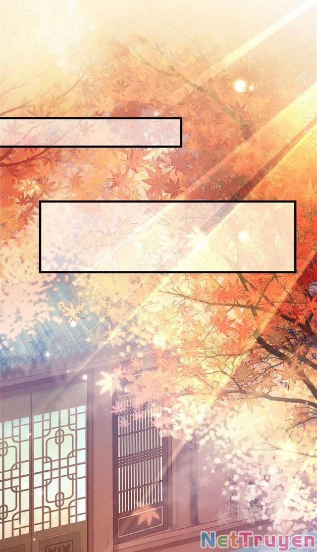 Mau Xuyên Không Rửa Tội Cho Nhân Vật Phản Diện 8 trang 24