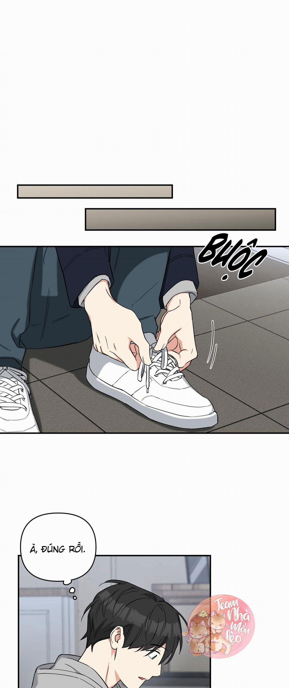 May Rủi Của Vampire 22 trang 19