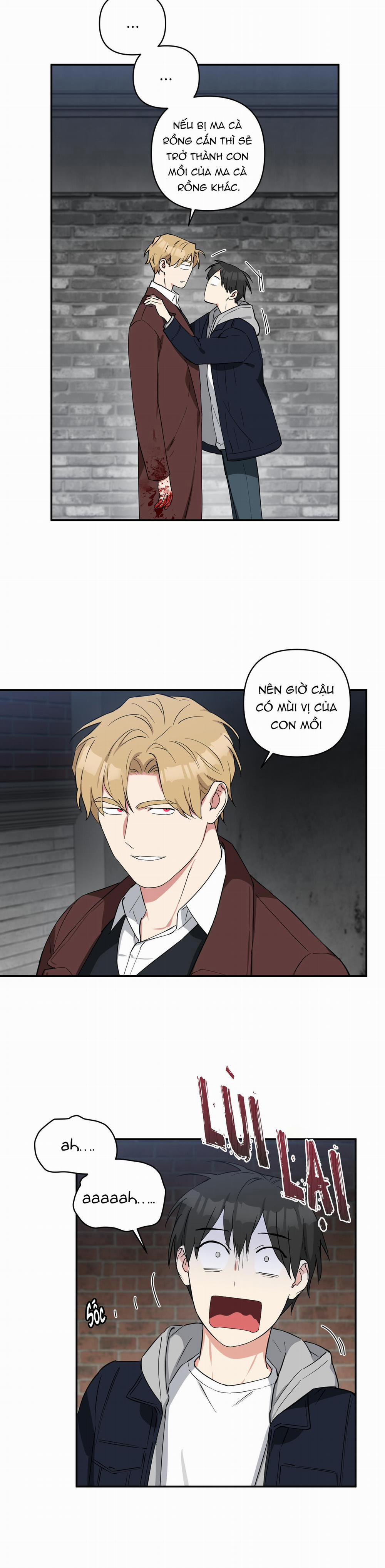 May Rủi Của Vampire 23 trang 5