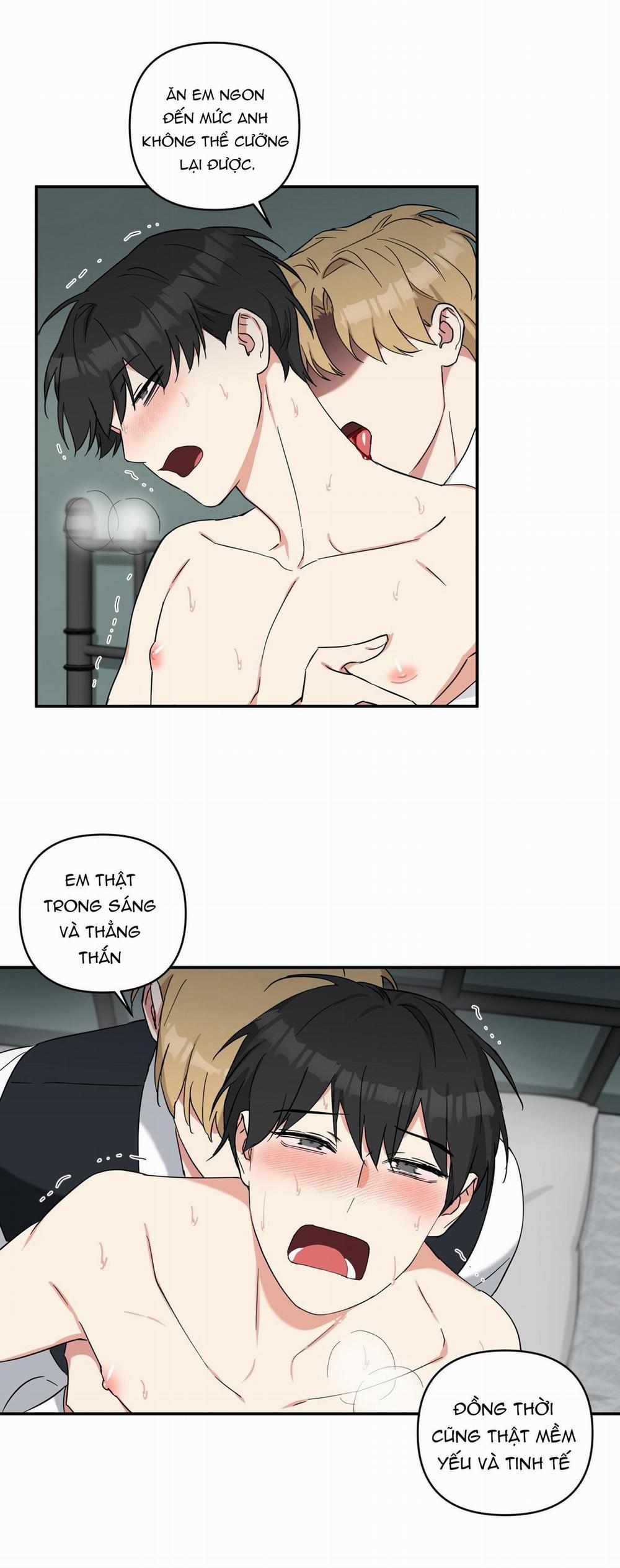 May Rủi Của Vampire 24 trang 18