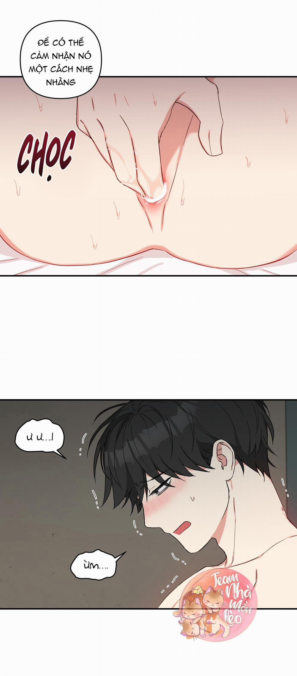 May Rủi Của Vampire 25 trang 4