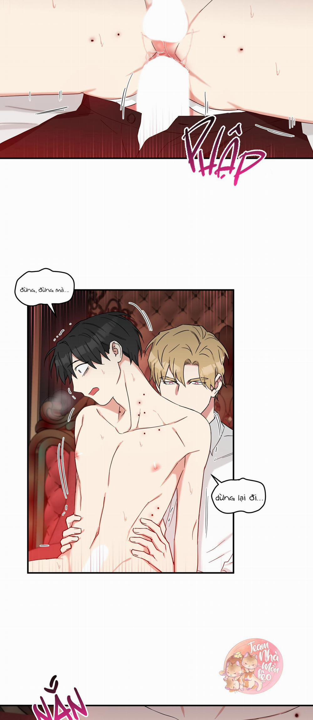 May Rủi Của Vampire 31 trang 2