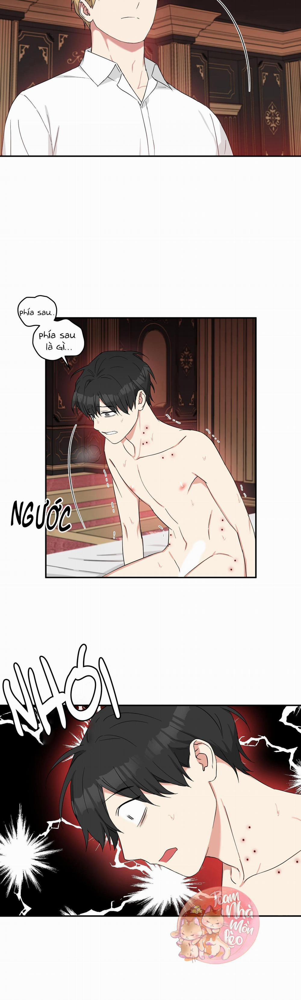 May Rủi Của Vampire 31 trang 21