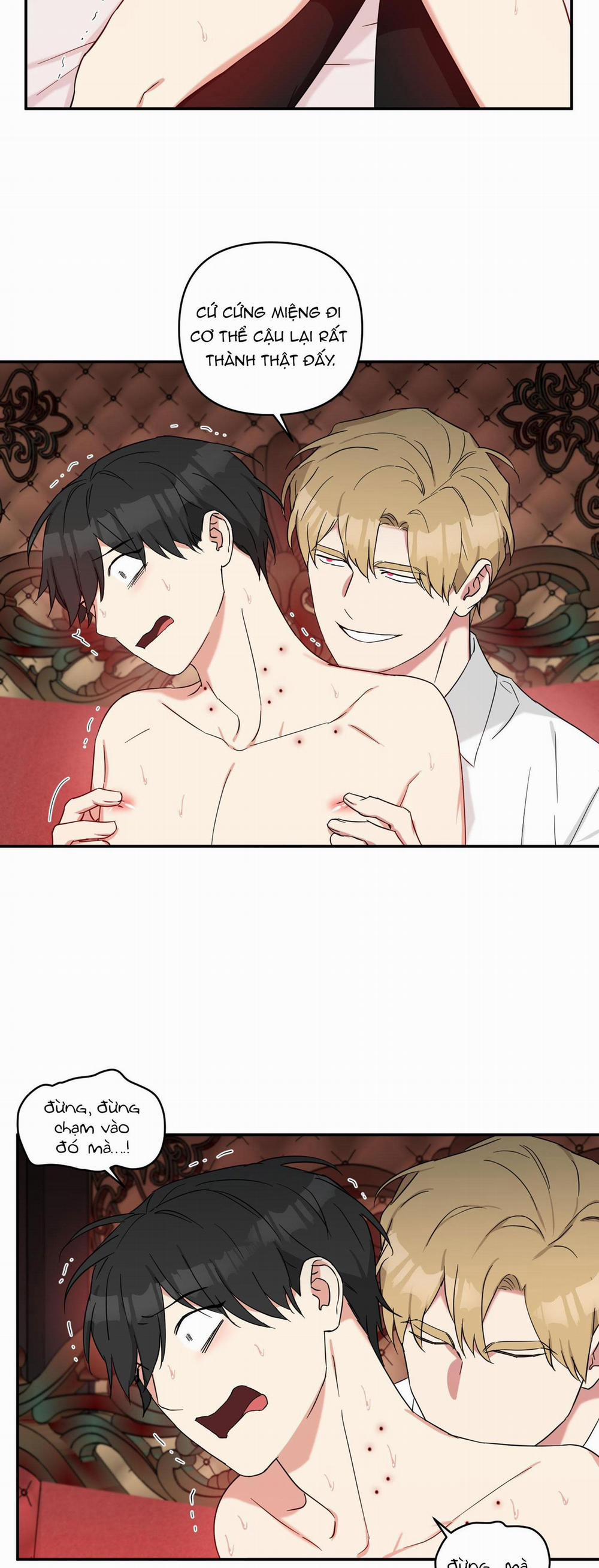 May Rủi Của Vampire 31 trang 5