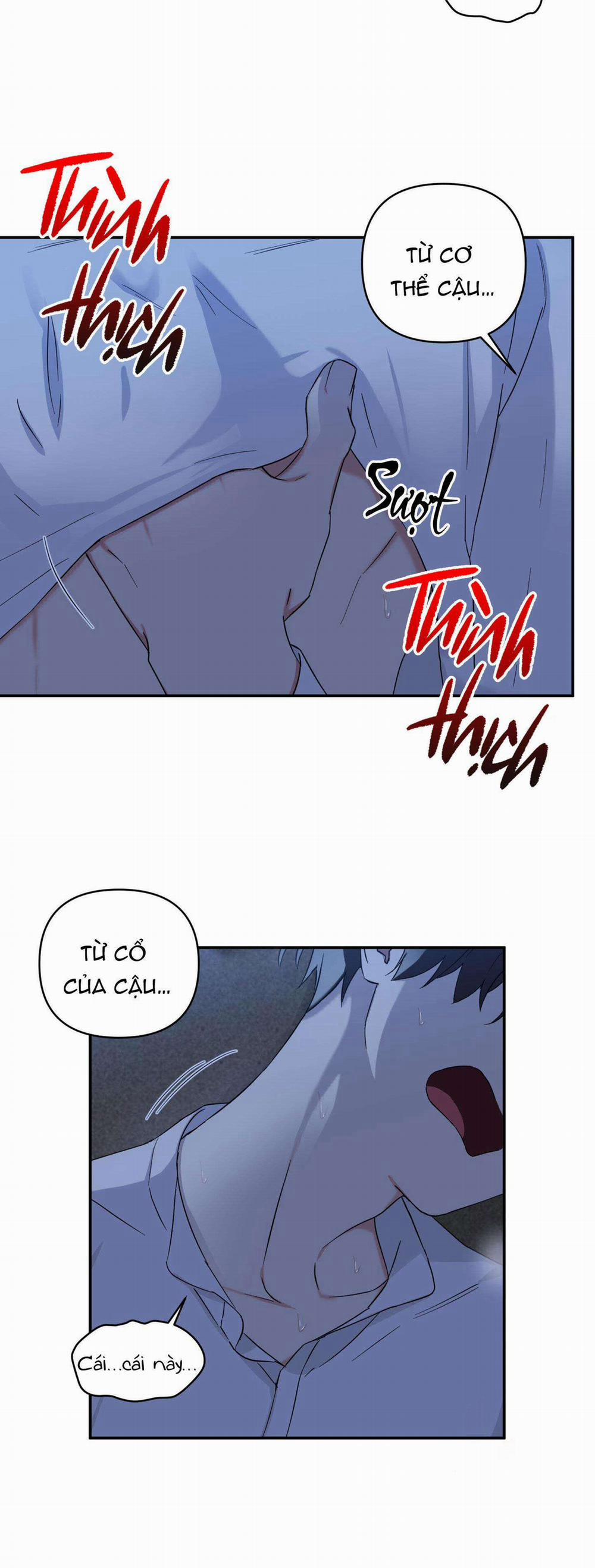 May Rủi Của Vampire 35 trang 17