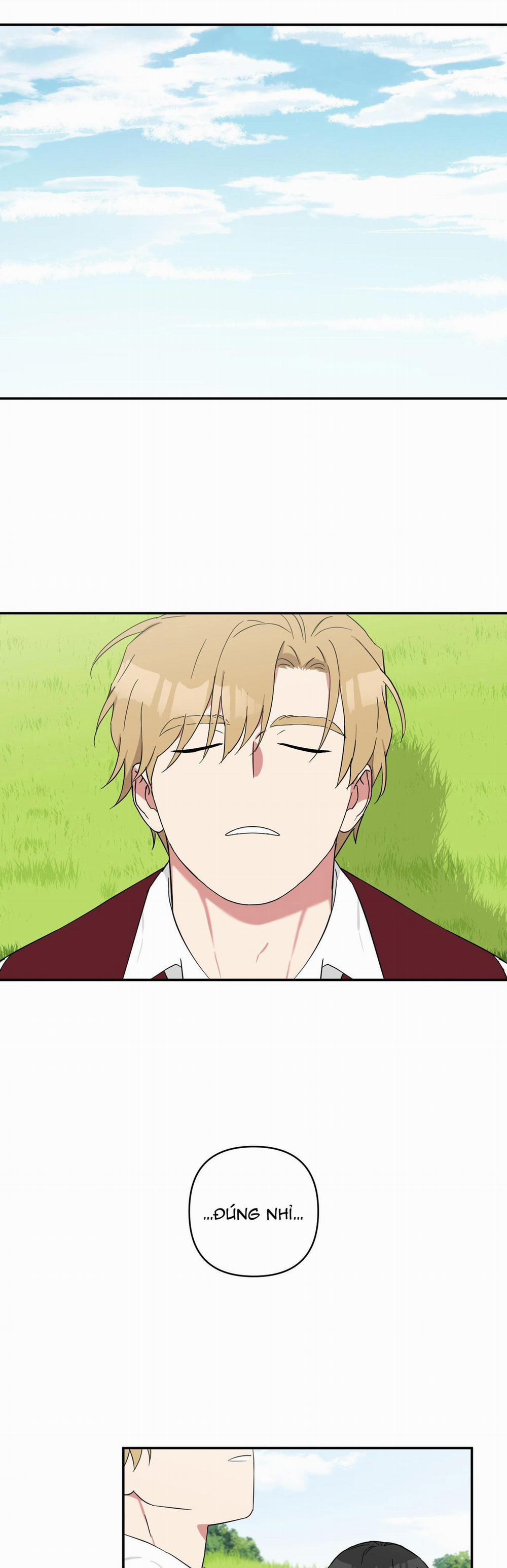 May Rủi Của Vampire 41 trang 24