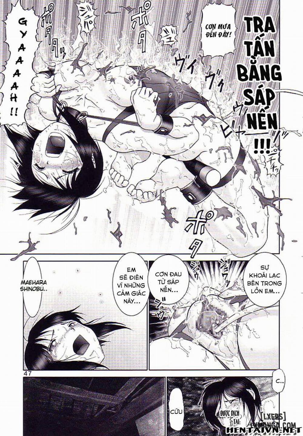 Mazo Shino 3 trang 44