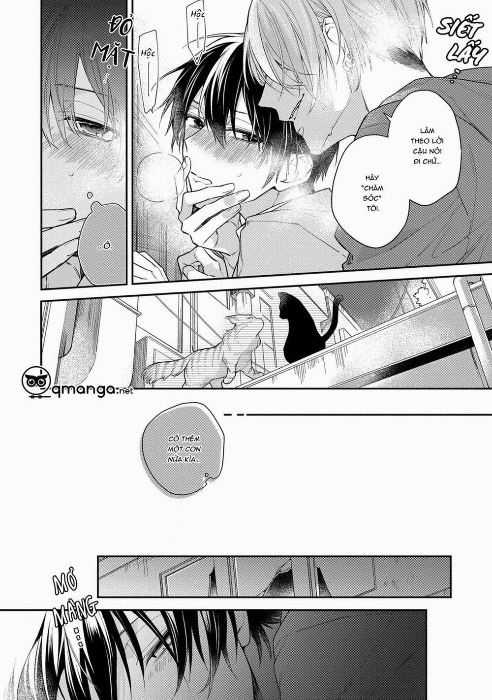 Mèo Con Ở Ngõ Sau 1 trang 12