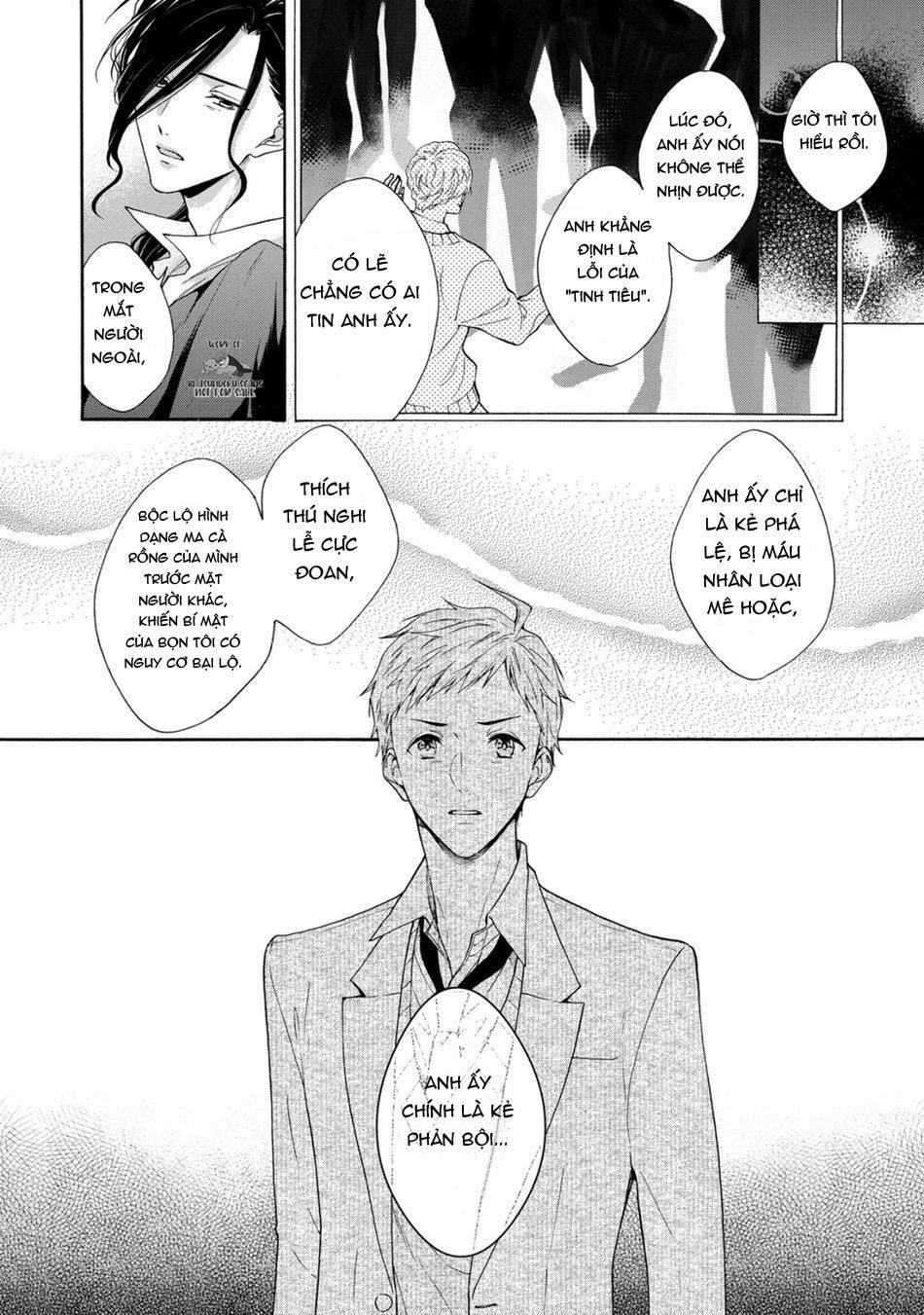 Mèo Đen Kí Túc, Mịt Mù Đêm Đen 12 trang 22