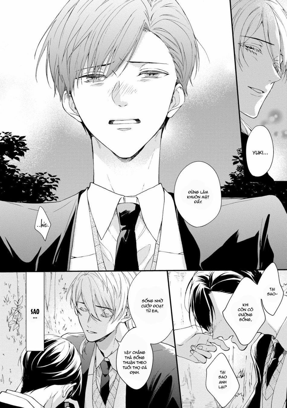 Mèo Đen Kí Túc, Mịt Mù Đêm Đen 13 trang 11