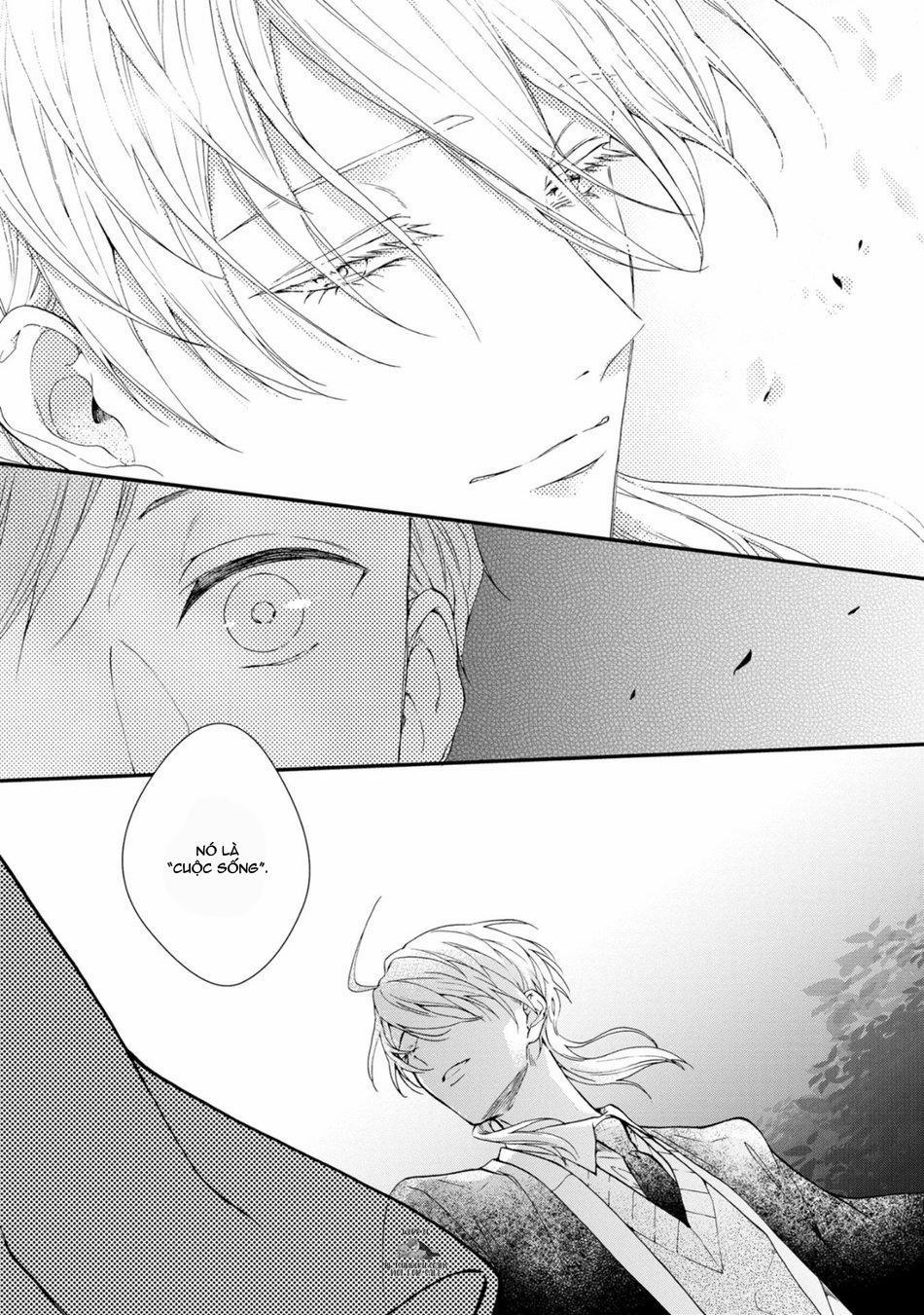 Mèo Đen Kí Túc, Mịt Mù Đêm Đen 13 trang 7