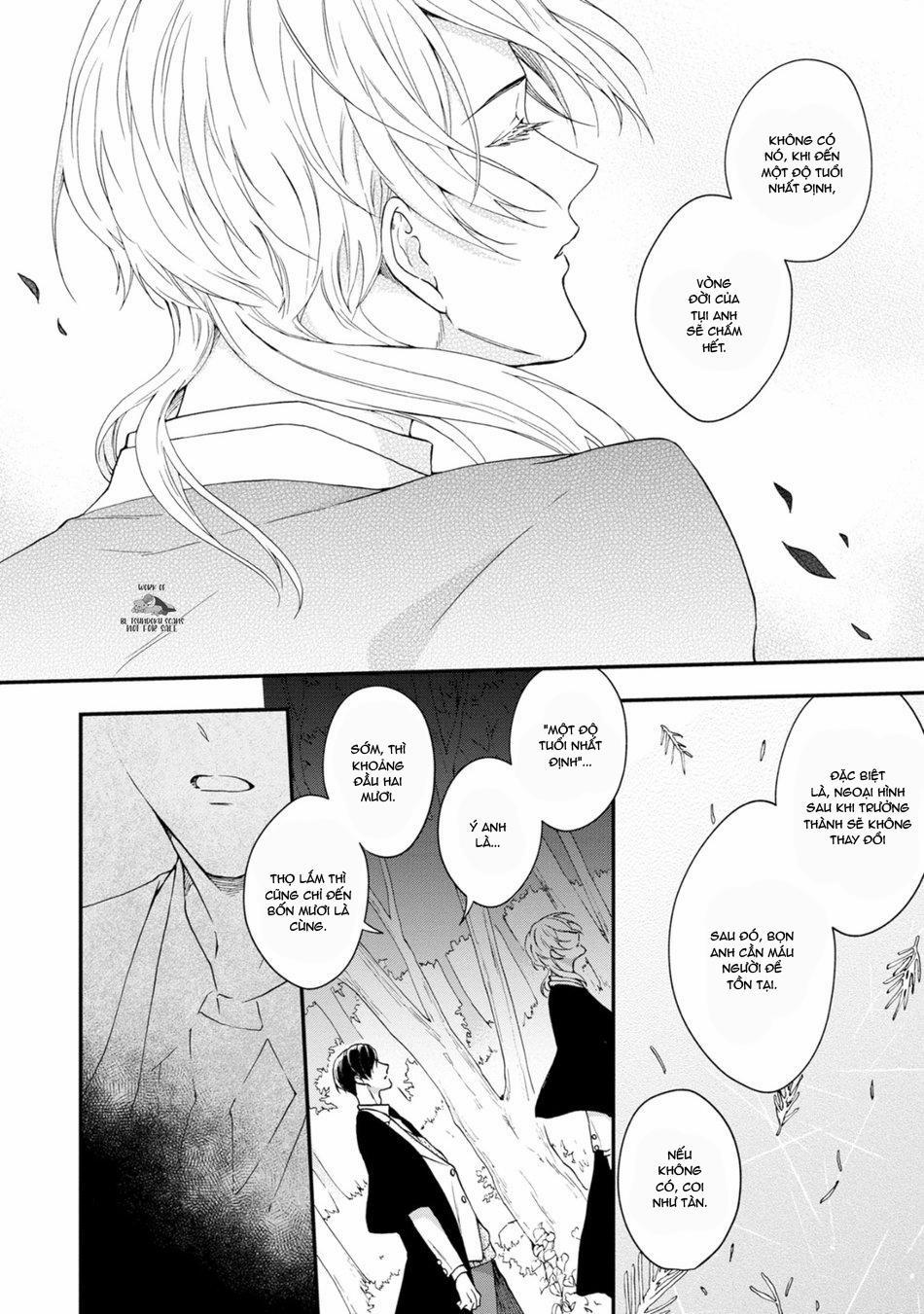 Mèo Đen Kí Túc, Mịt Mù Đêm Đen 13 trang 9