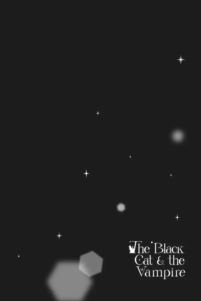 Mèo Đen Kí Túc, Mịt Mù Đêm Đen 14 trang 2