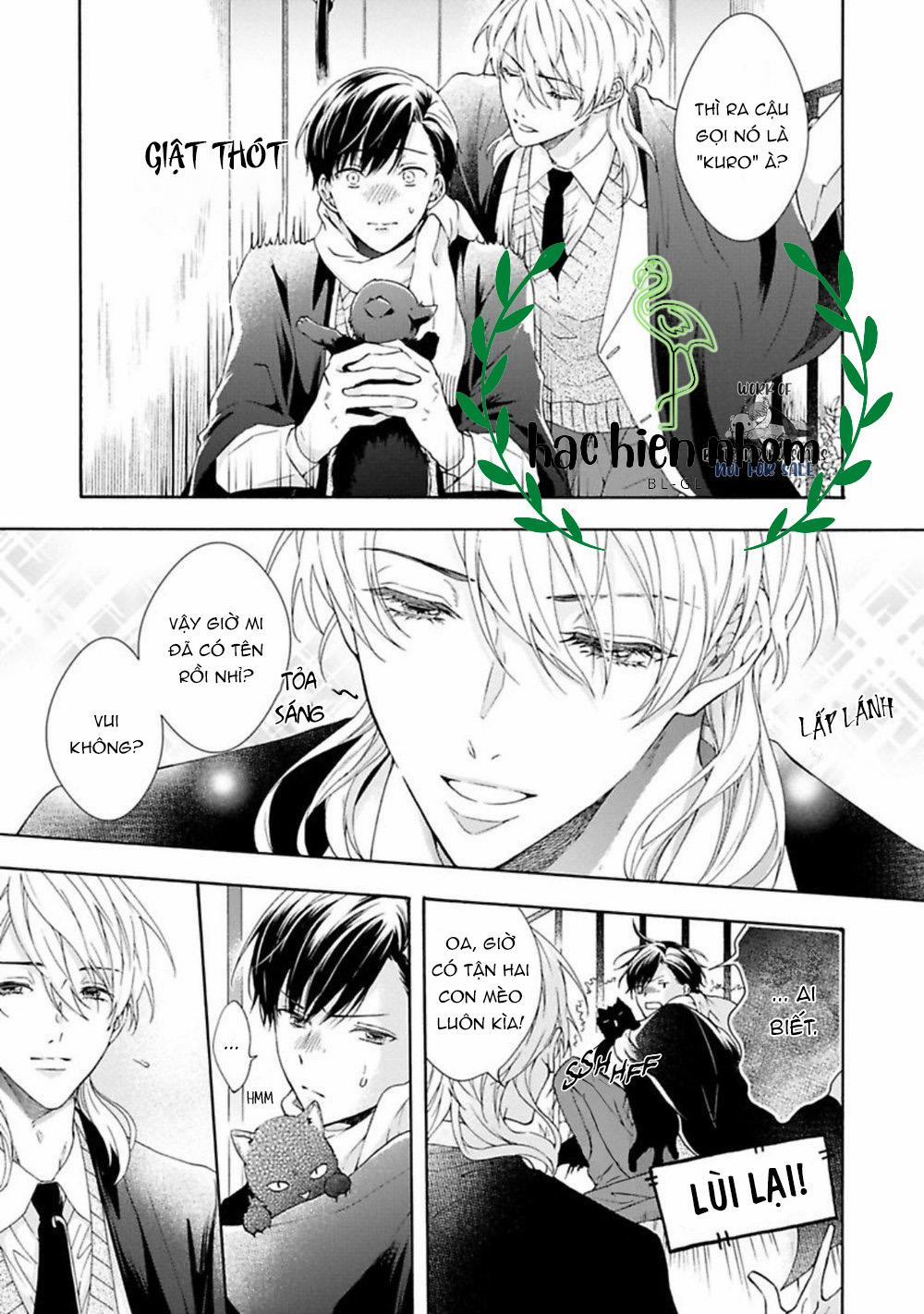 Mèo Đen Kí Túc, Mịt Mù Đêm Đen 3 trang 11