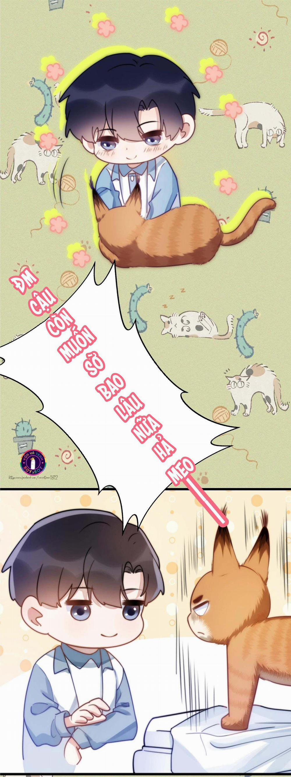 Mèo Hoang Nhỏ Của Học Bá Quá Trêu Người (END) 0 trang 18